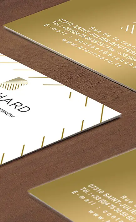 imprimerie chevalier